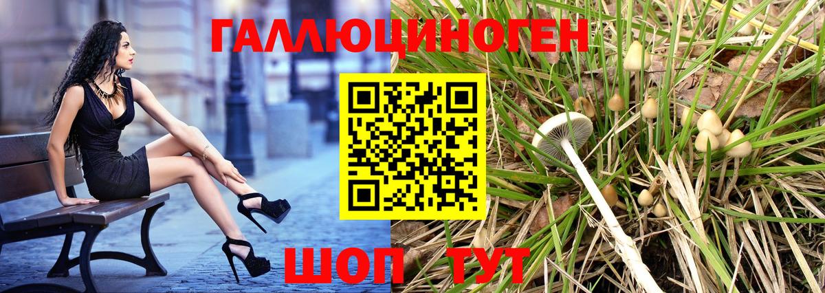 Псилоцибиновые грибы Psilocybe  Галлюциногенные грибы ЛСД  Ржев  Вход с VPN 